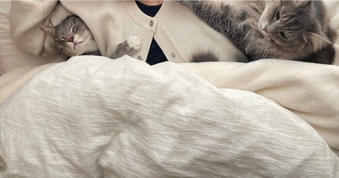 飼い主さんの腕枕で眠る2匹