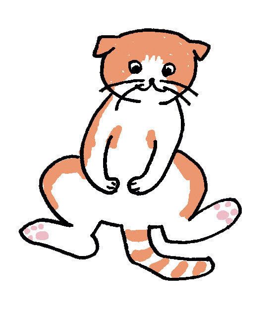イラスト/中山三恵子