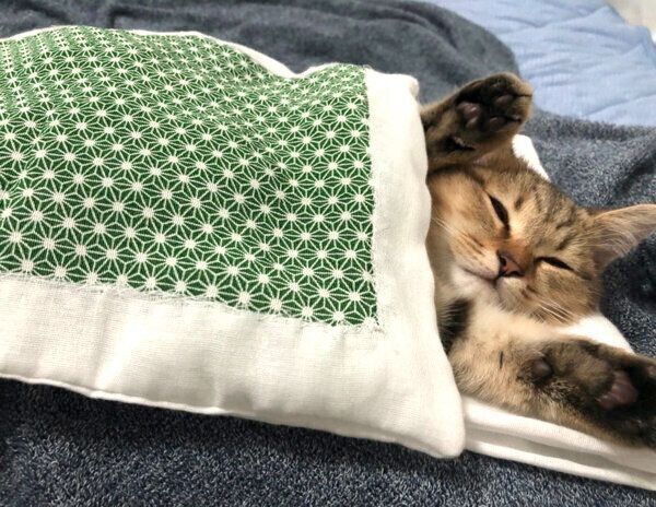 お布団で眠るみにらくん