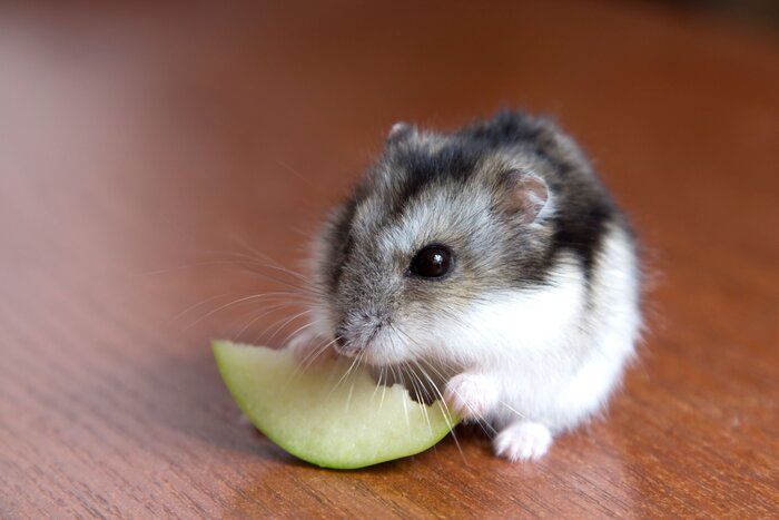 画像/iStock、Getty Images Plus