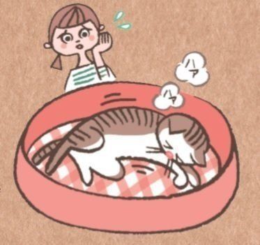 画像/2019年2月号「ねこの貧血」