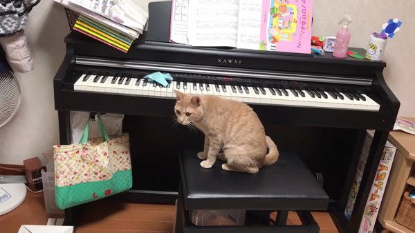 ピアノ