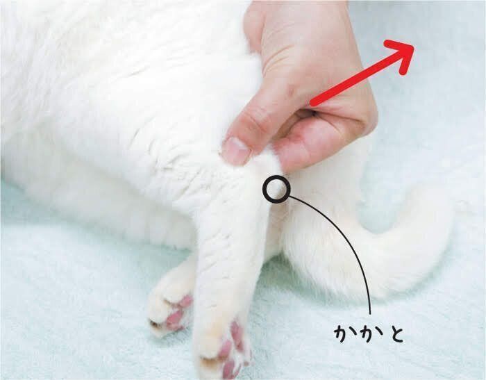 つまんで外側に引っ張る