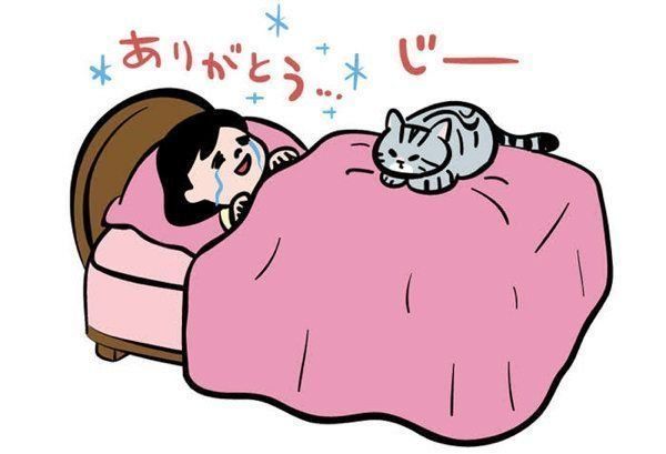 猫も「遠慮」するの?