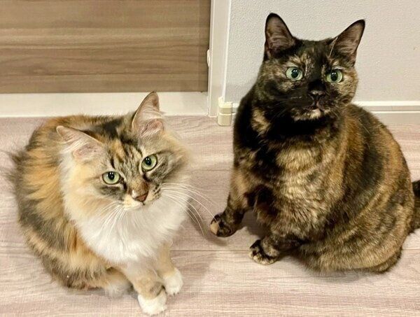 りりちゃんとつくしちゃんのツーショット