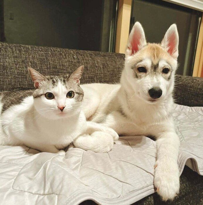 くぅちゃんと末っ子犬・ららちゃん
