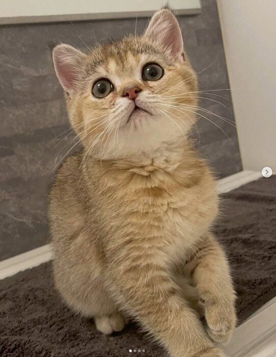 現在のべべくん