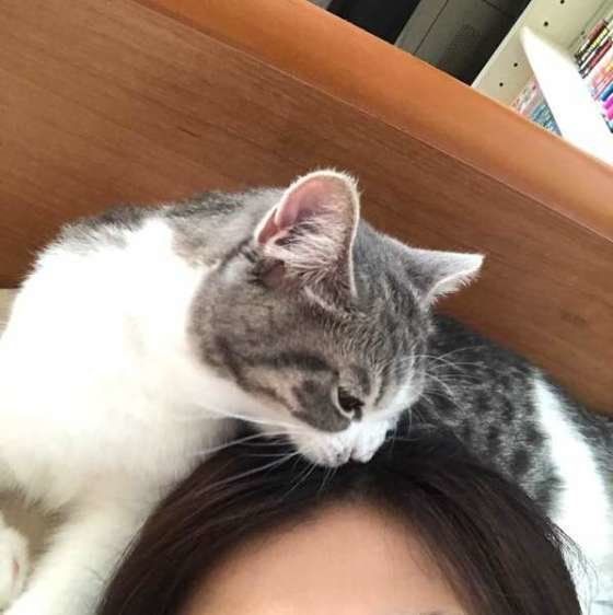頭にすりすり