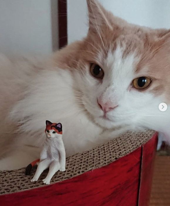座る猫