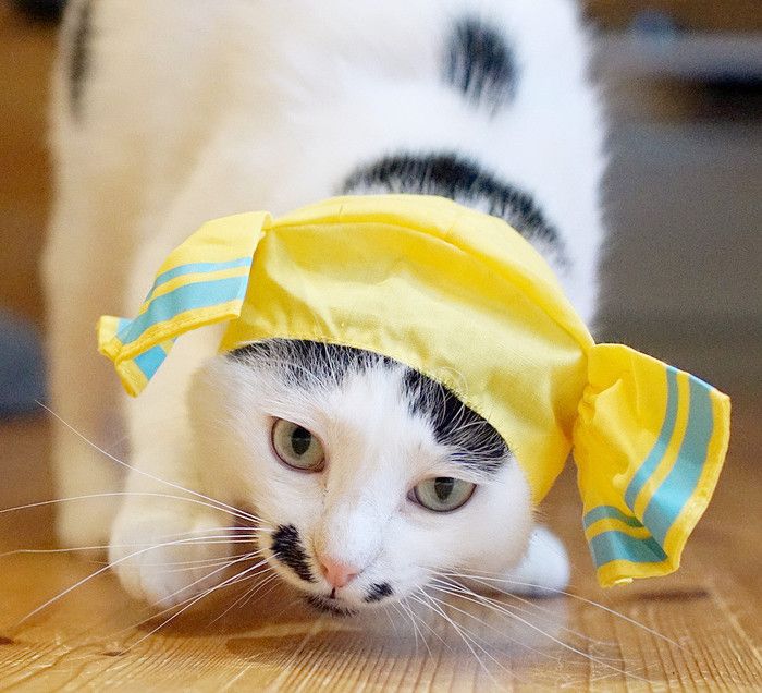 ハニーレモン