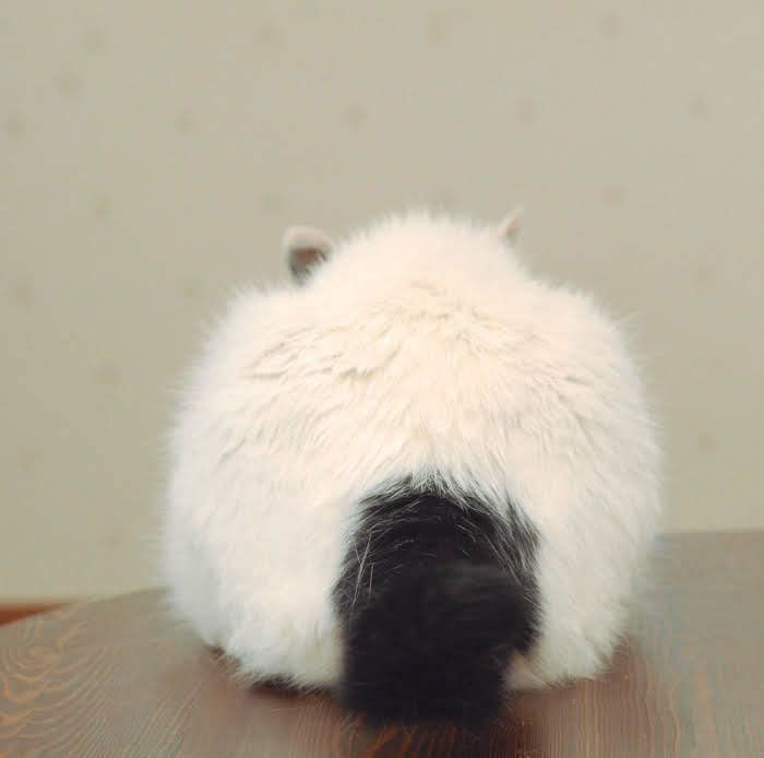 豆大福