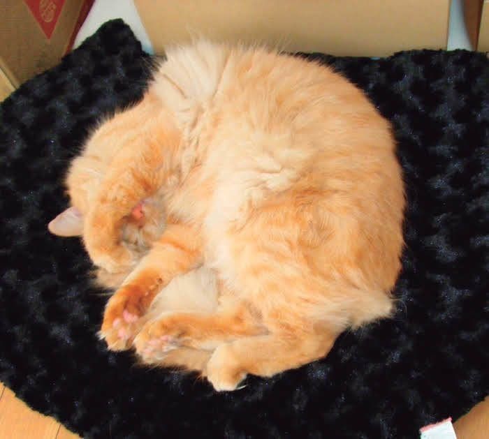 パンケーキ