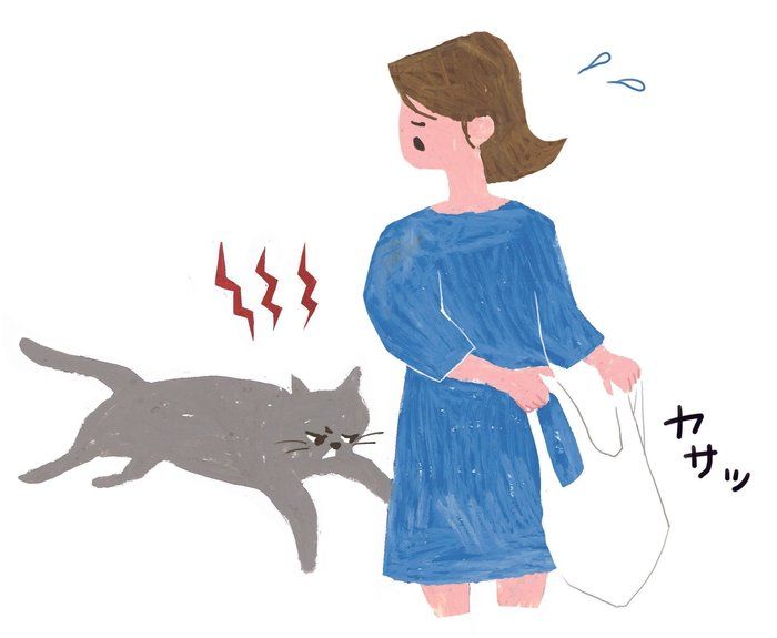 イラスト/mollydomon