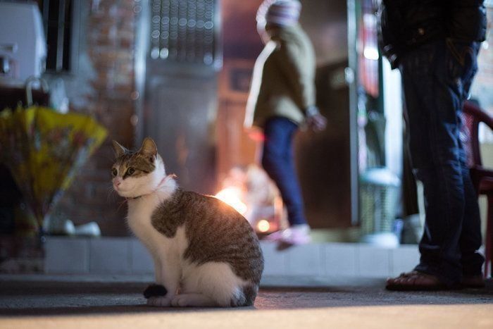 ©Masayuki Oki