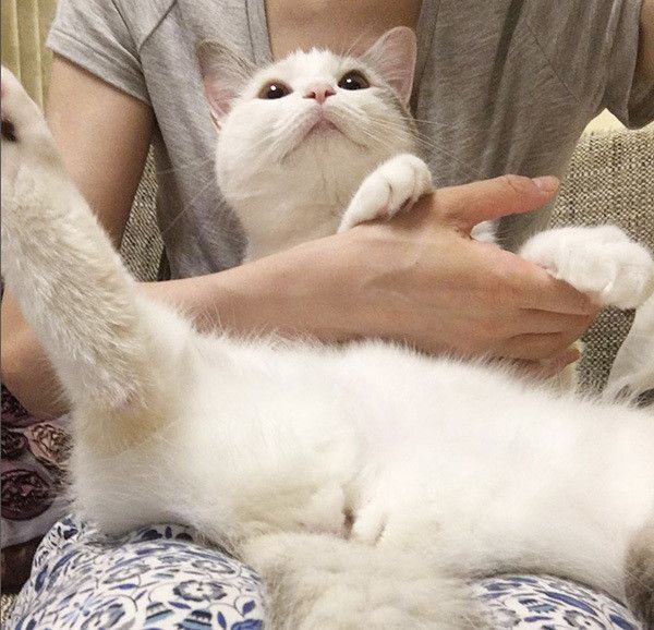 あおいちゃん