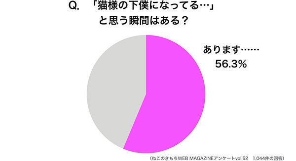 「猫様の下僕になってる」と思っている瞬間調査