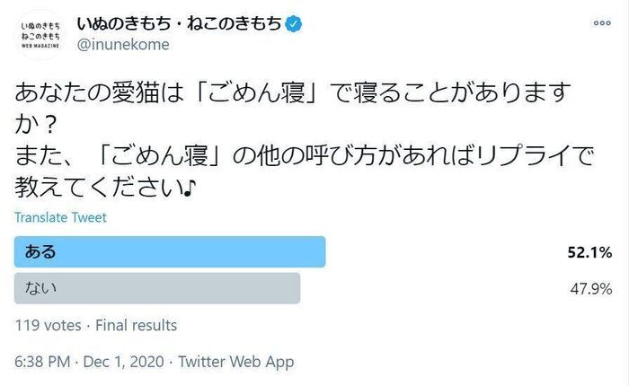 「ゴメン寝」のアンケート結果