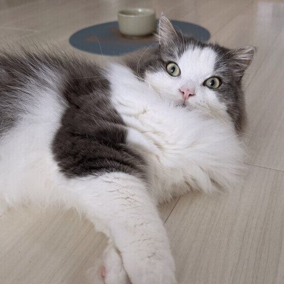 目を見開くラフくん