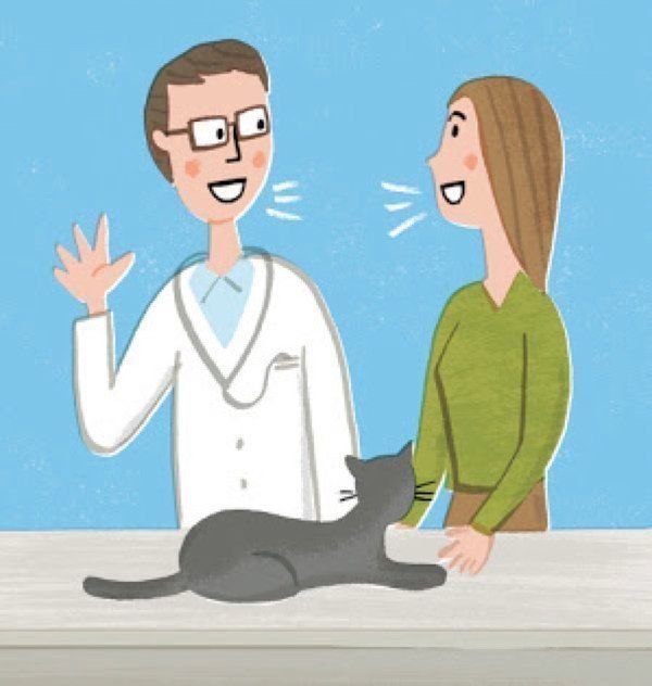 愛猫の幸せな後半生のために考えておくこととは