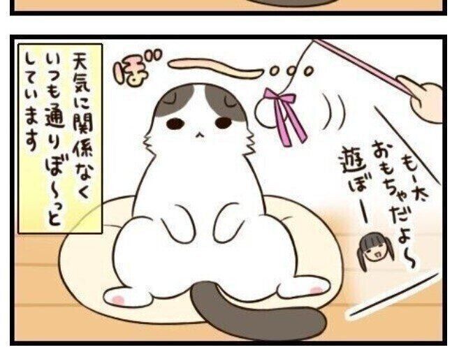 猫マンガ「もふもふスコたん」vol.12