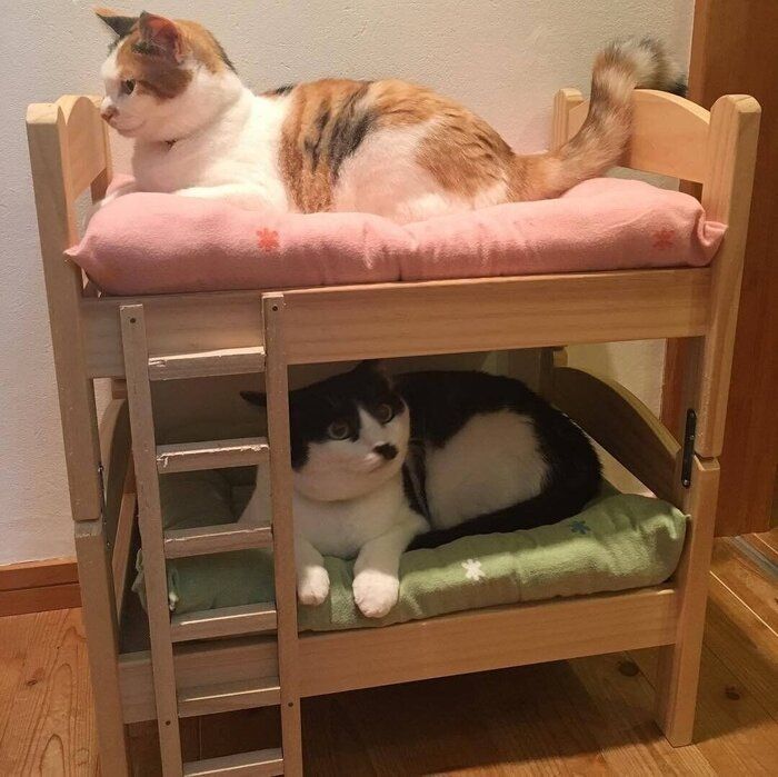 二段ベッド用猫用布団