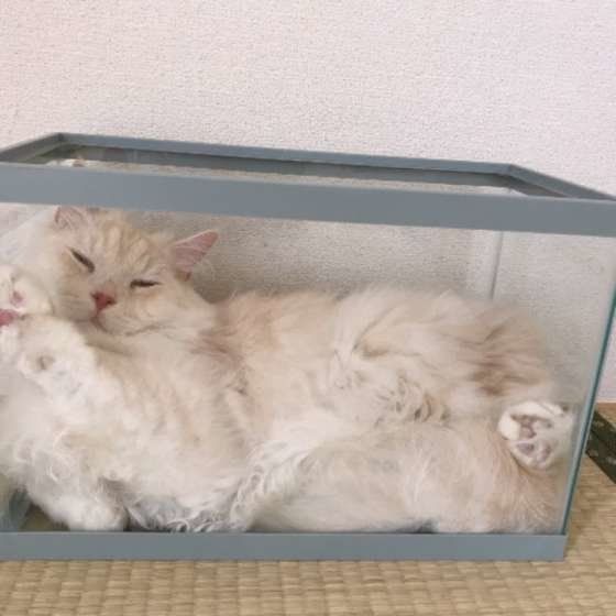 水槽の中