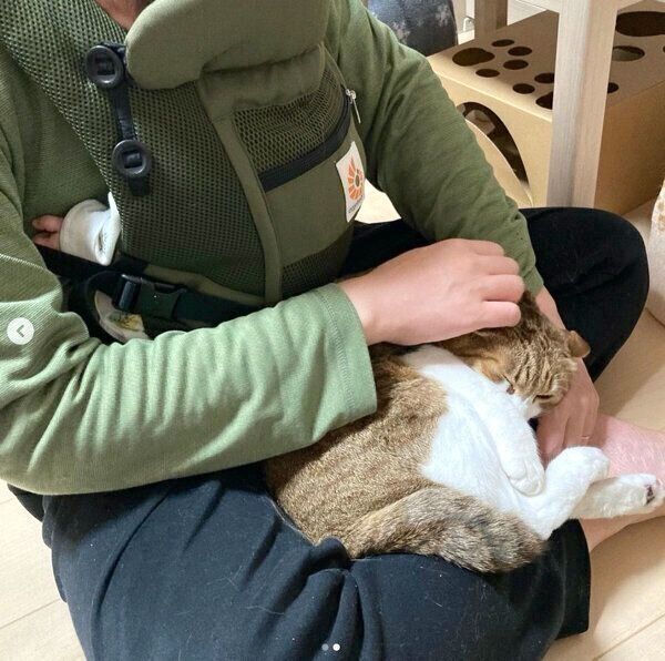 娘さんに急接近した茶とらんくん