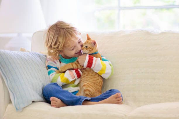 猫と遊ぶ子供。子供と子猫。