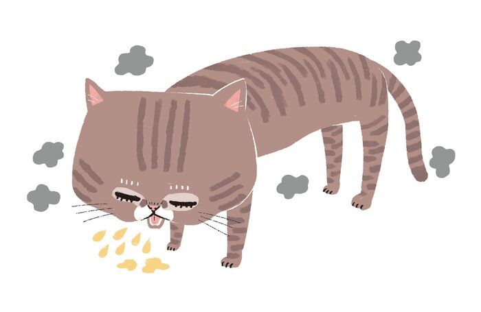 イラスト/Studio CUBE.
