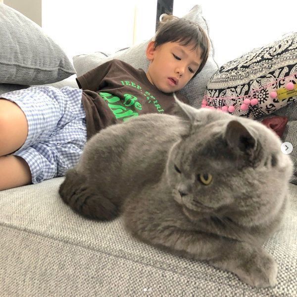 元保護猫・ブリティッシュショートヘアのルナ子ちゃん