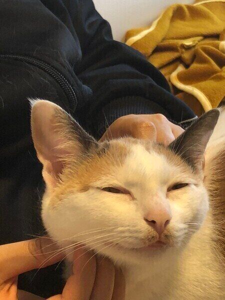 うっとり