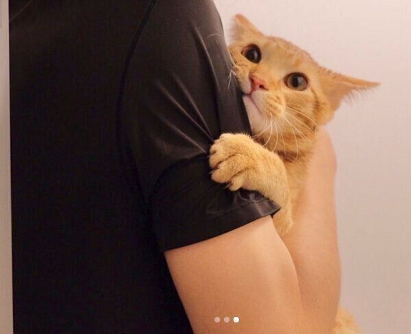 お風呂場に行きたくないみゃおちゃん