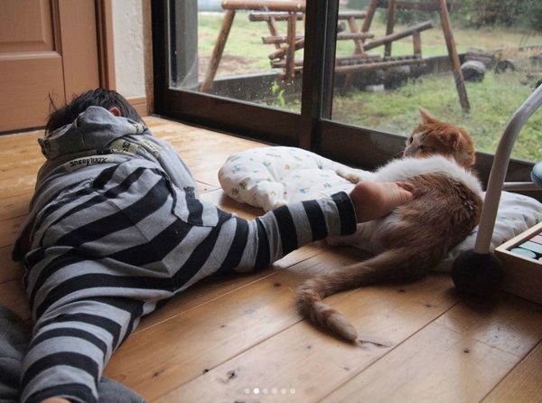 弟とあそぶ猫