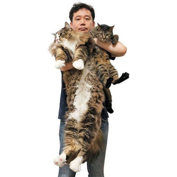 ポン次郎くんとチビちゃん