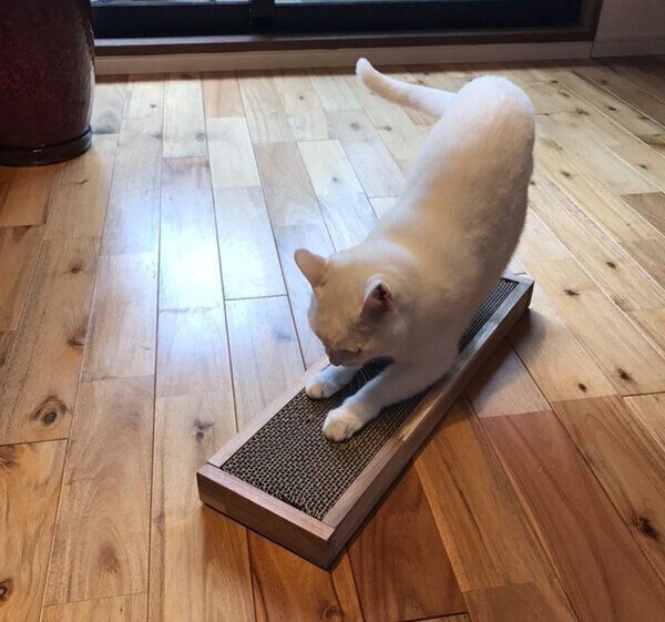 爪とぎケースをDIY