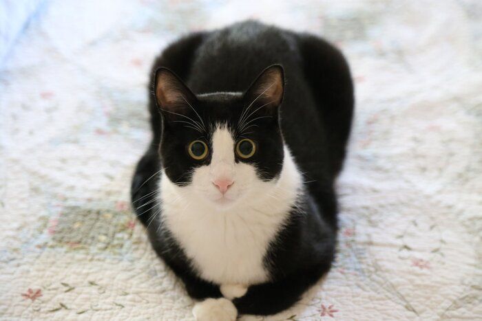 画像/iStock、Getty Images Plus