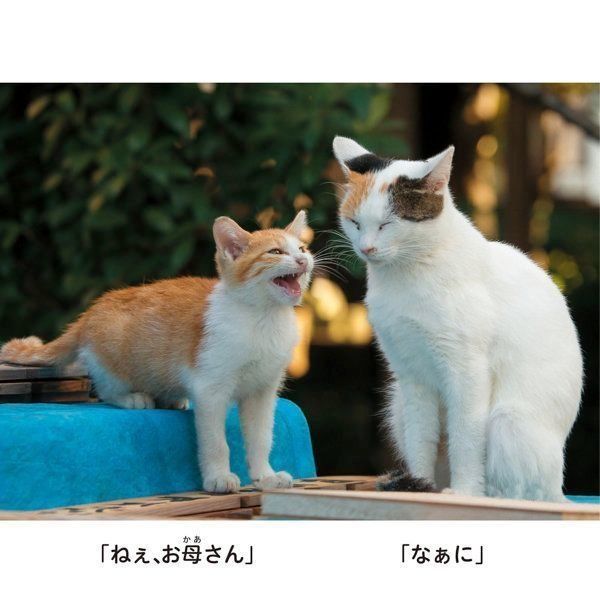 『にゃんこ相撲』