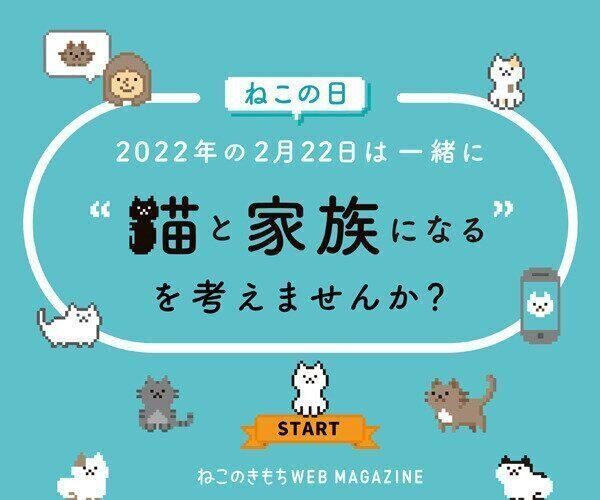 ねこのきもちweb Magazine それでもやっぱり猫が好き ねこのきもちweb Magazine それでもやっぱり猫が好き