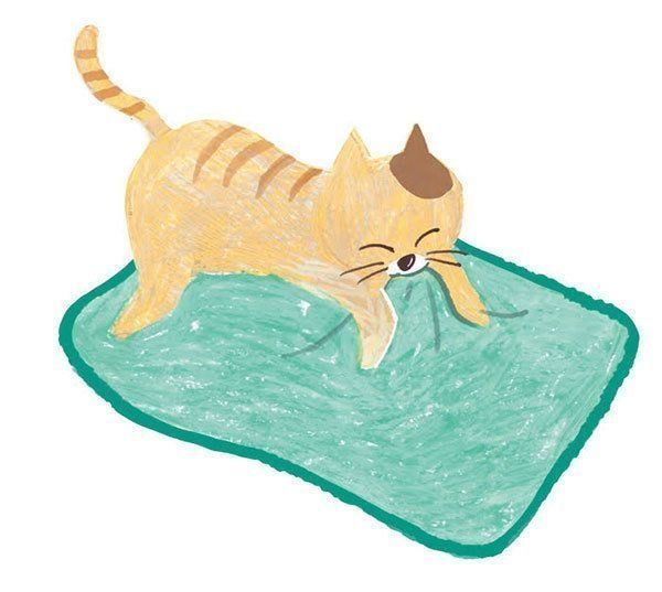 布を噛む猫