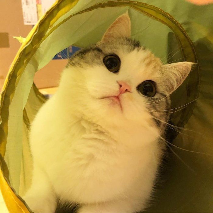 柚子ちゃん