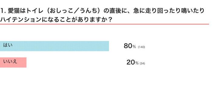 愛猫はトイレ（おしっこ／うんち）の直後に、急に走り回ったり鳴いたりハイテンションになることがありますか？
