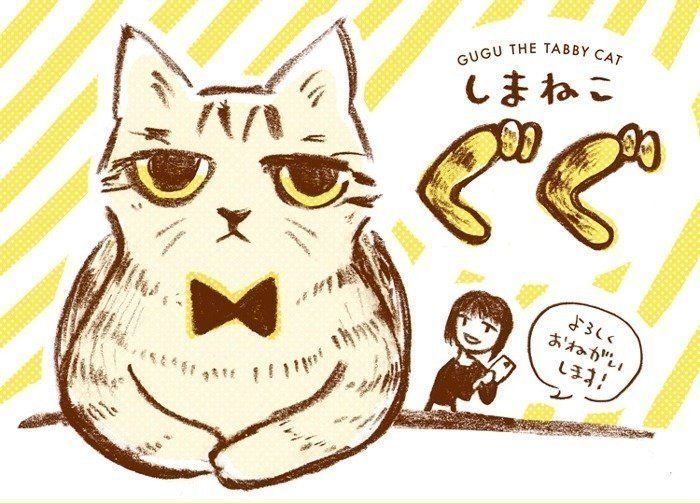 しまねこぐぐ サムネイル