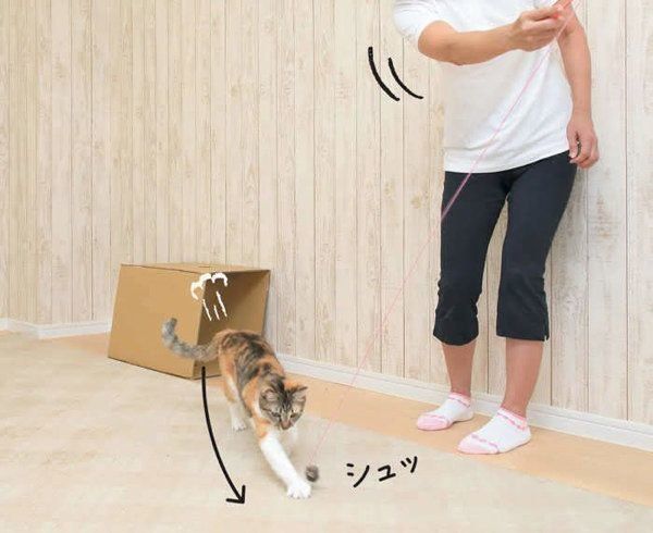 「ネズミ狩りトンネル潜り」の遊び方