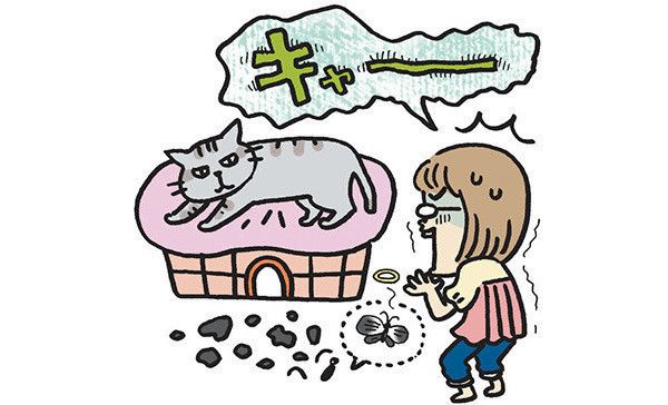 蝶を食べる猫