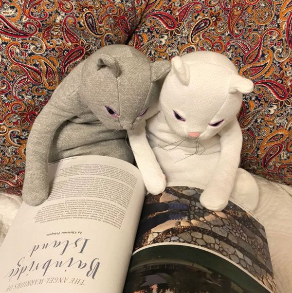 本を読む猫のぬいぐるみ