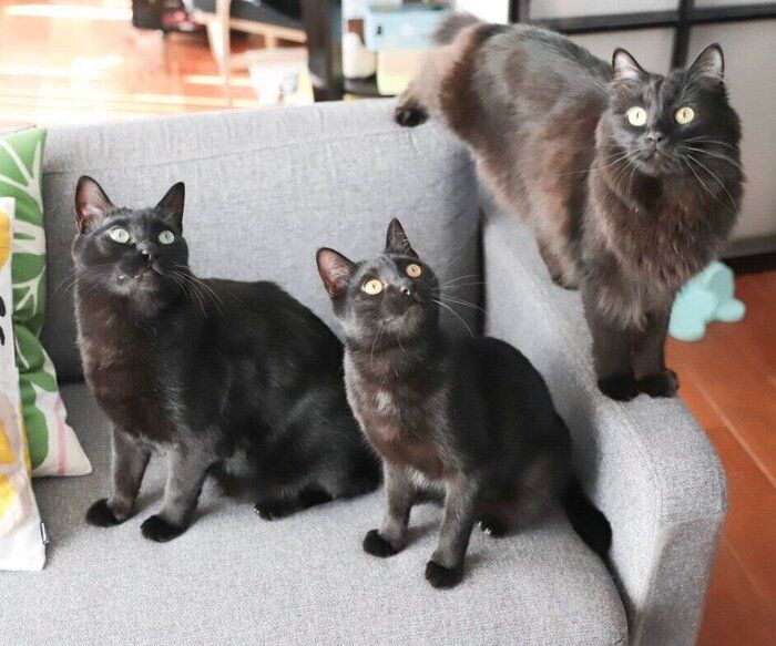 珍しい3ショット