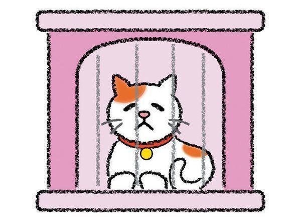ペットホテル