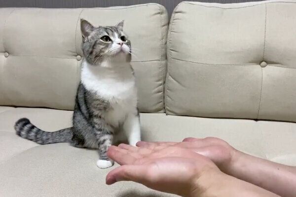 手品を見て120点のリアクションをするもちまるくん