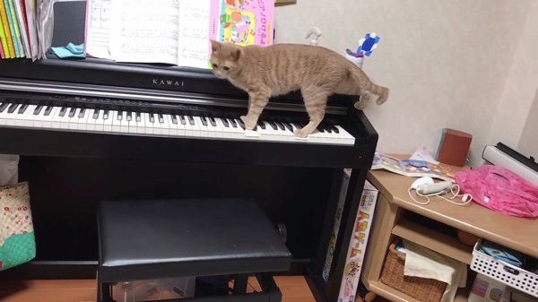 ピアノ