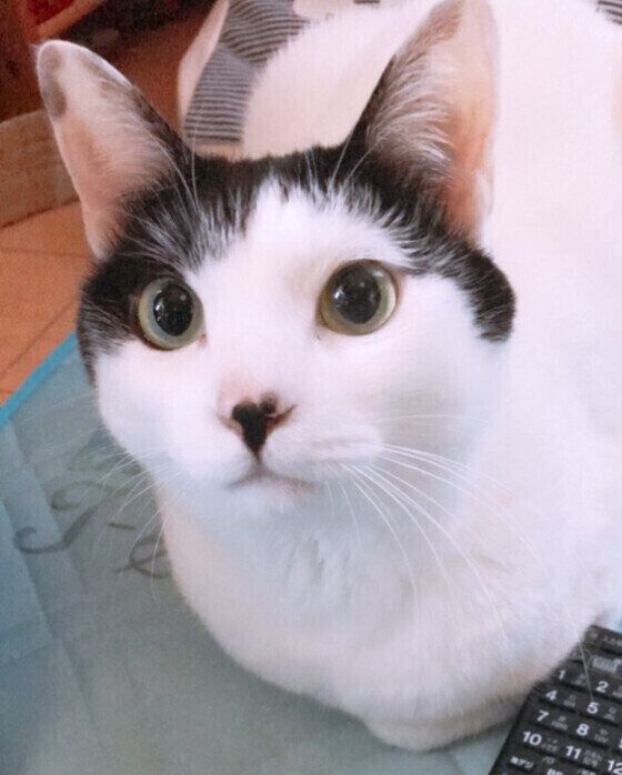 まんまるまる